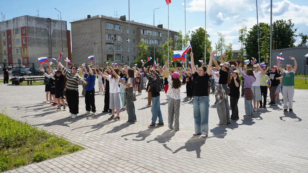 Картинка