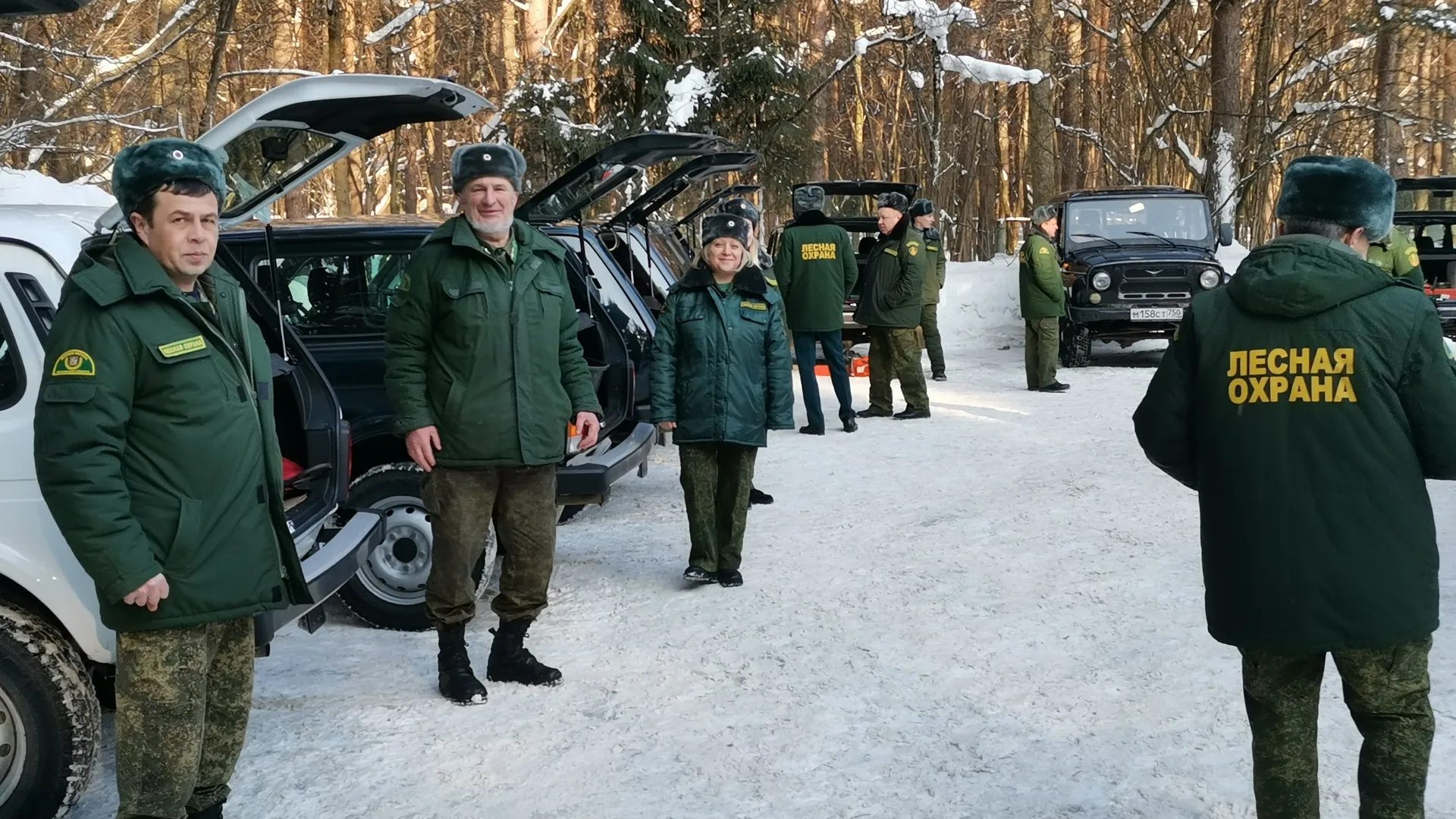 Фото: пресс-служба Комитета лесного хозяйства Московской области