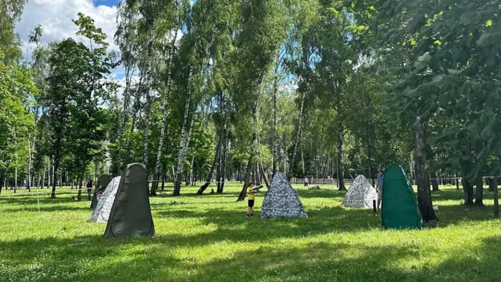 Фото и видео: Министерство благоустройства Московской области