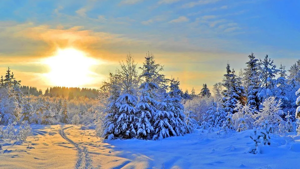фото:.freepik.com