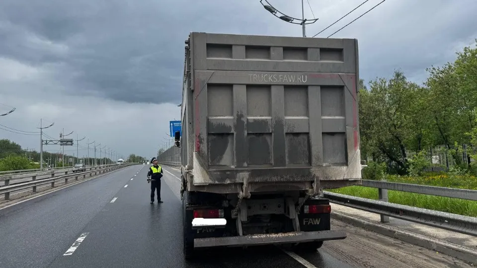 Фото: Министерство экологии и природопользования Московской области