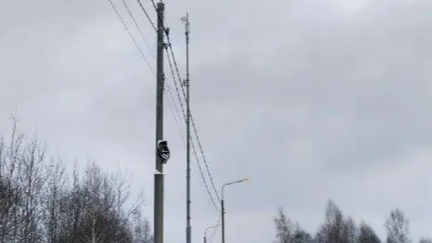 Фото: Минтранс Подмосковья