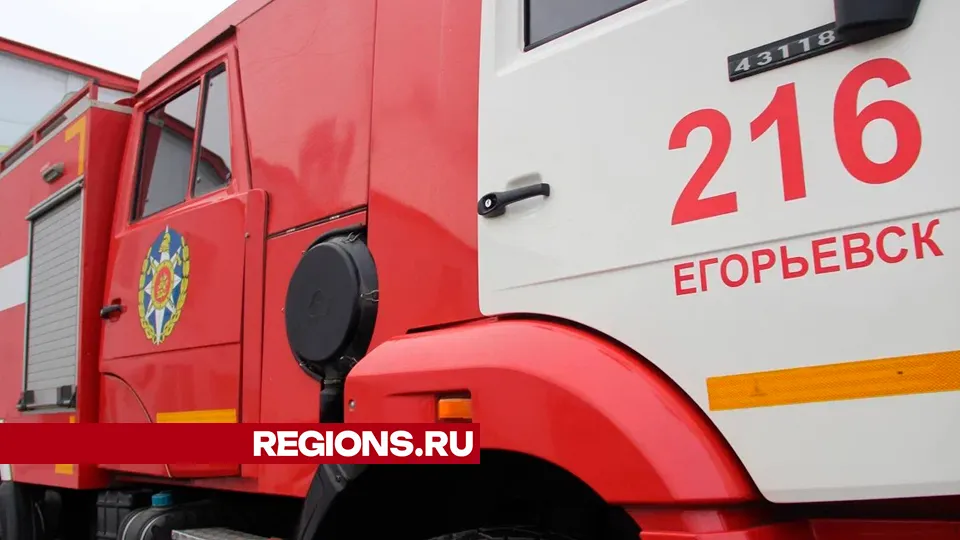 Фото: REGIONS/Василий Тремасов