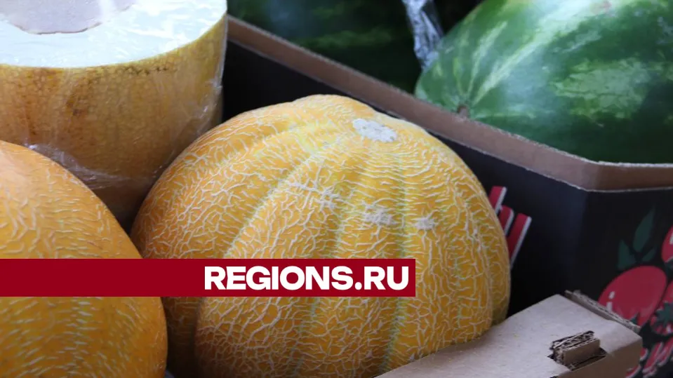 Фото: Марат Алиев