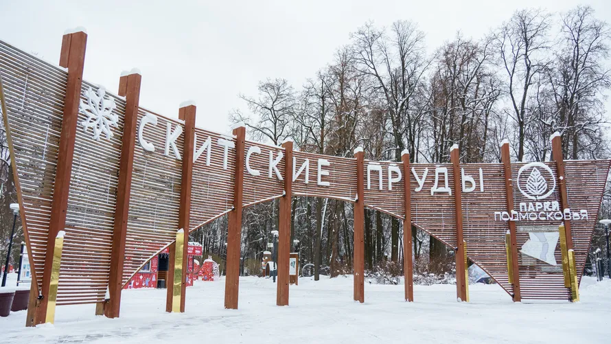 Фото: медиасток.рф