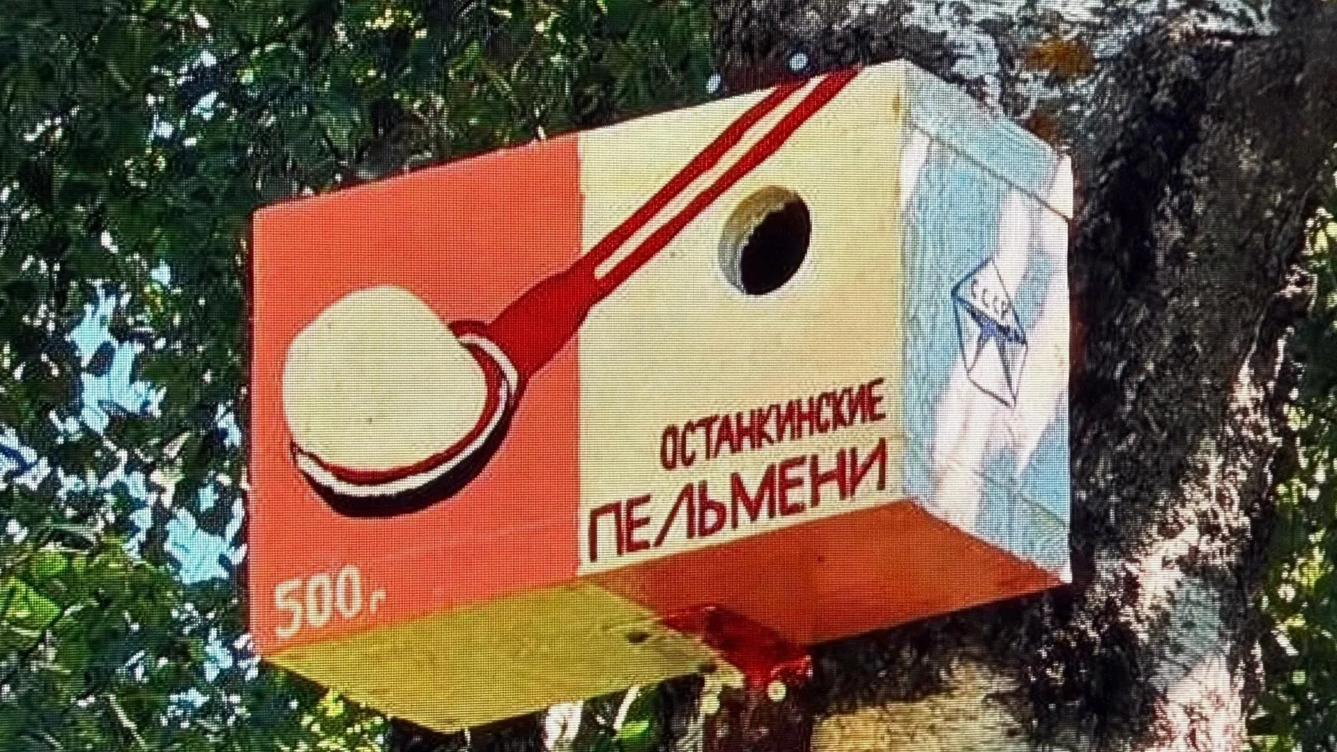 Картинка
