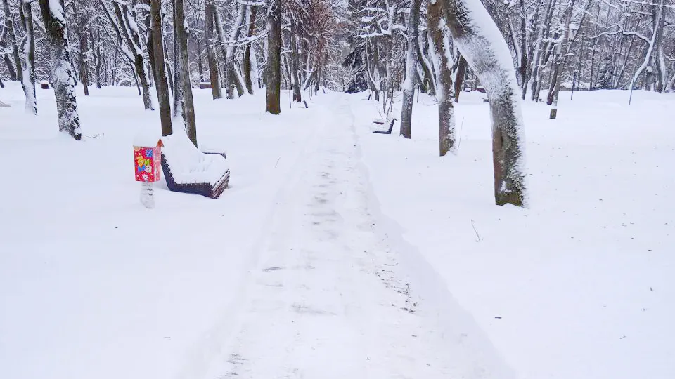 Фото: парк усадьбы Фряново