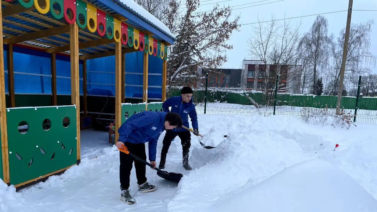 Картинка
