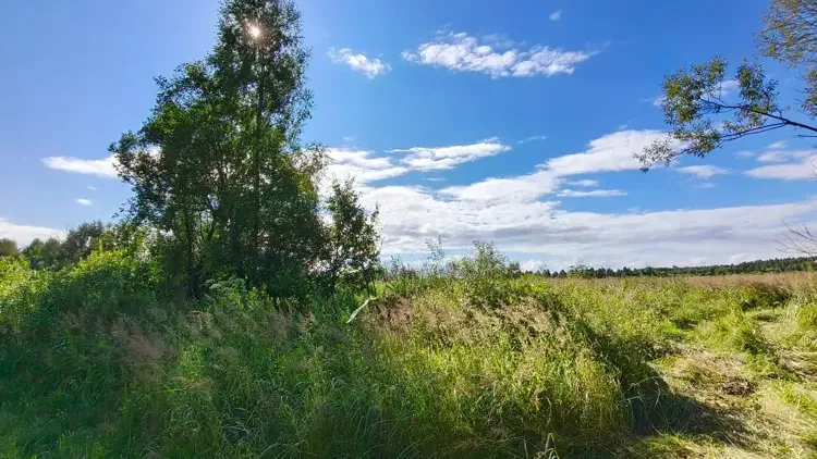 Участок на торгах в Подмосковье