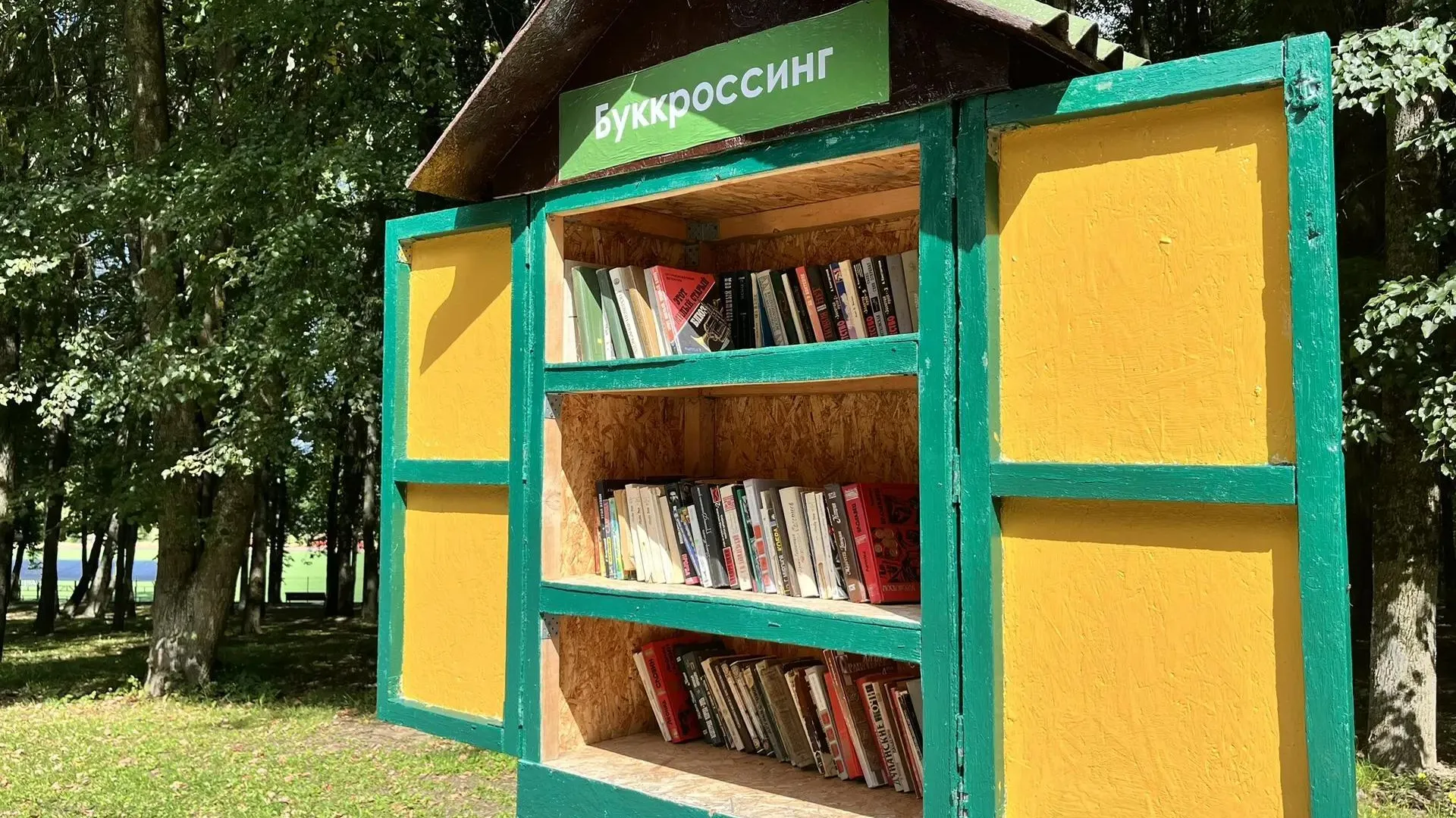 Картинка