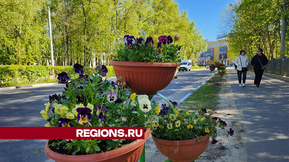 Фото: Светлана Плотникова