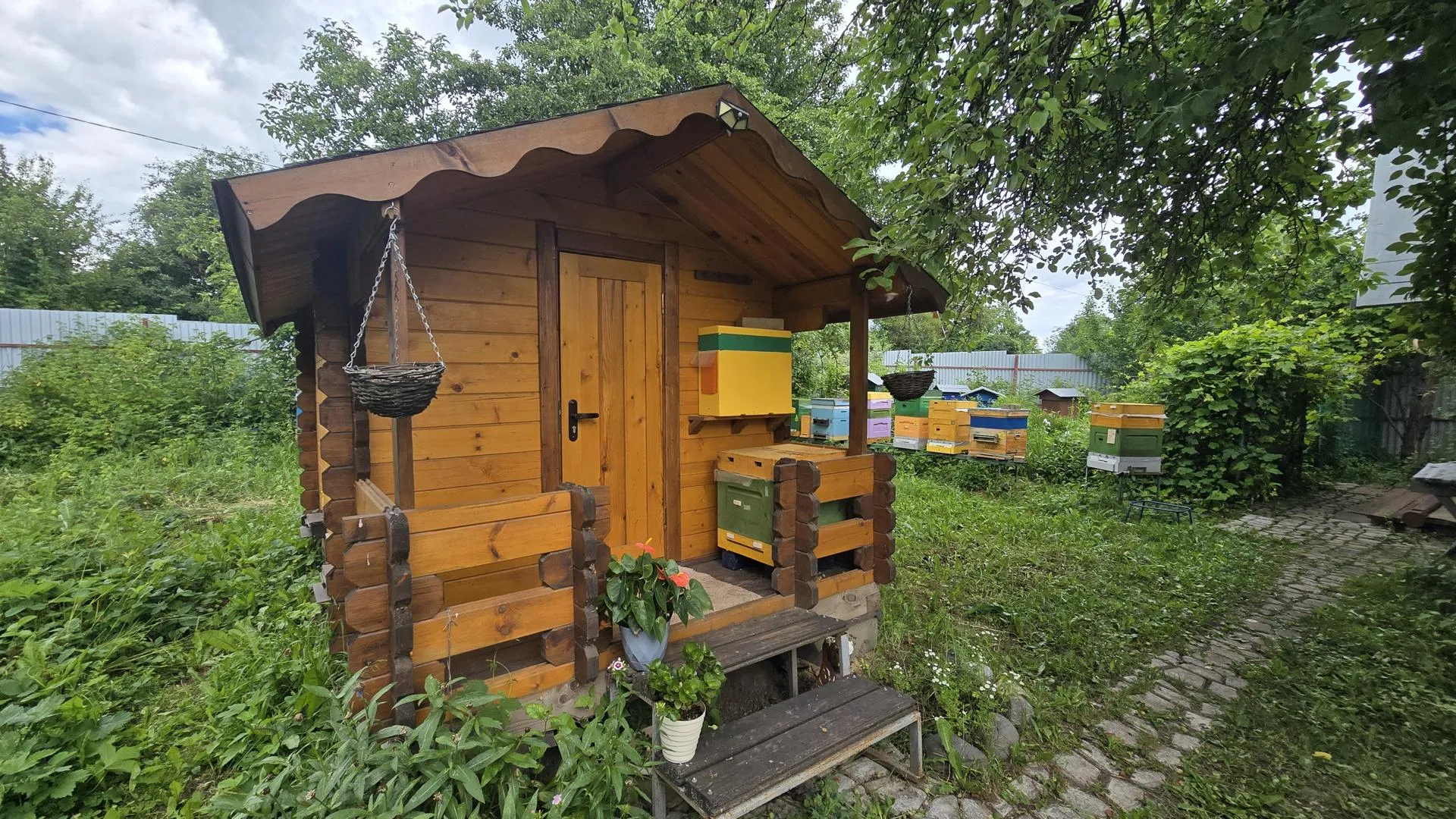 Картинка