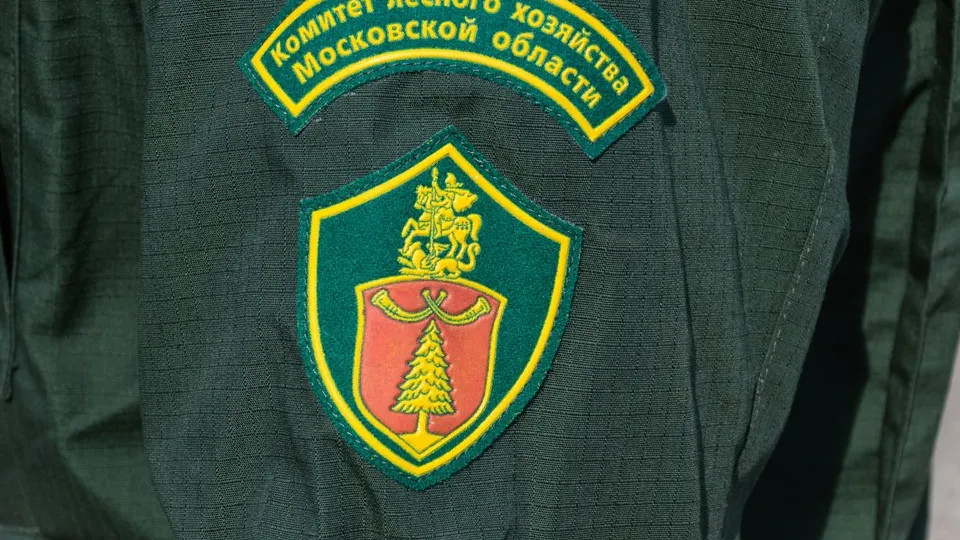Фото: REGIONS/Евгений Мазепов