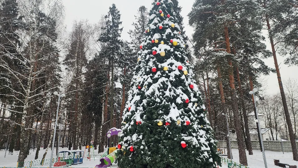 Фото: МедиаБанк Подмосковья/Роман Савельев