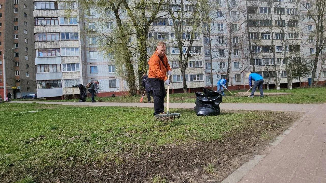 Картинка