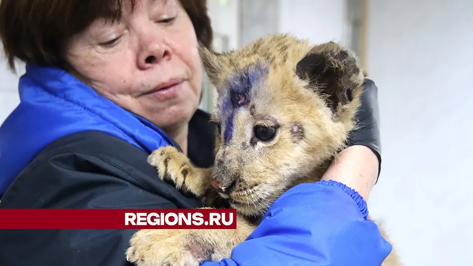 Фото: REGIONS/Ольга Пятикрестовская