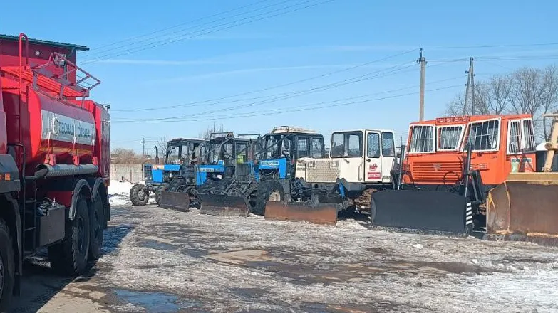 Фото: пресс-служба Комитета лесного хозяйства Московской области