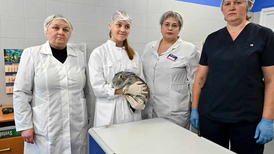 Фото: Министерство сельского хозяйства и продовольствия МО