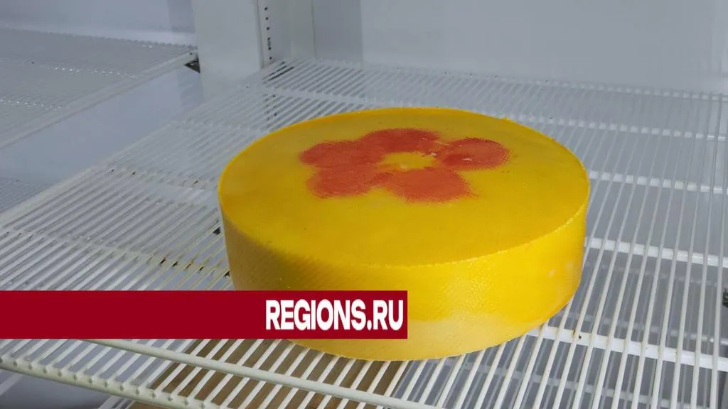 фото: Дарья Шапочкина