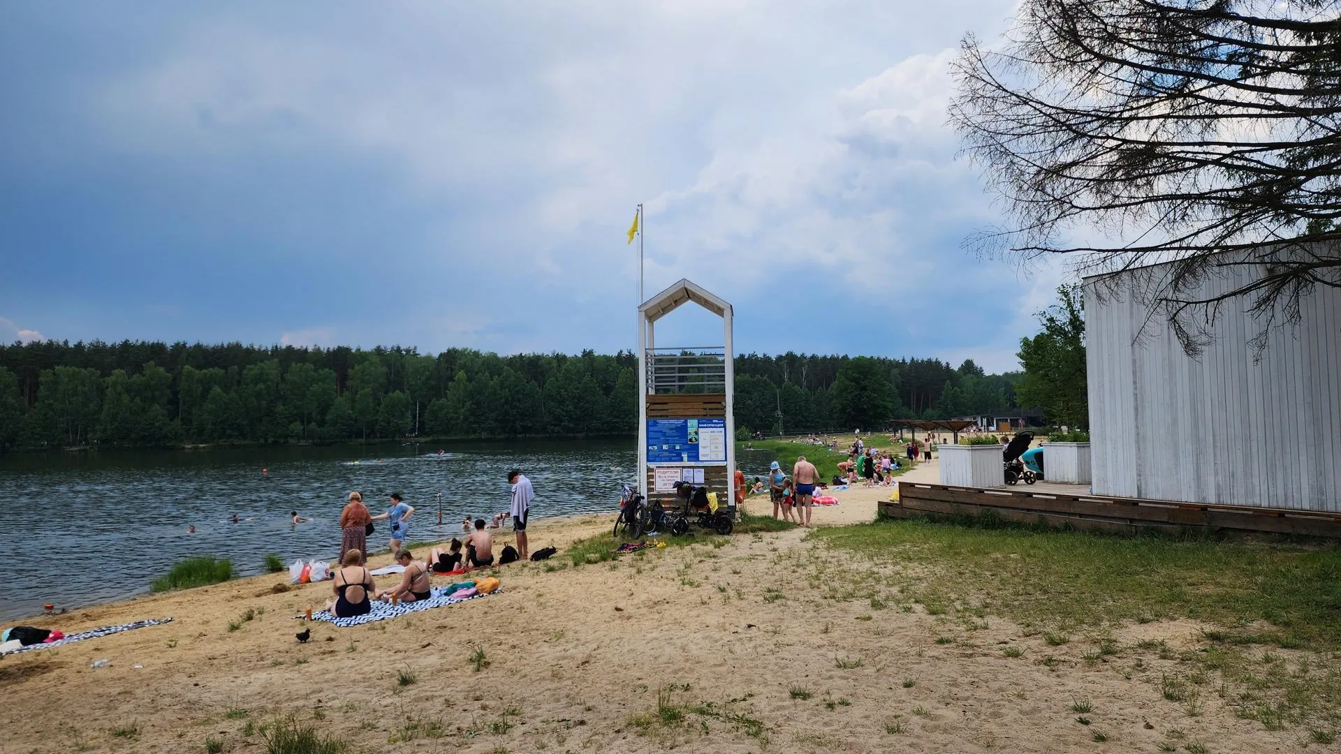 Картинка