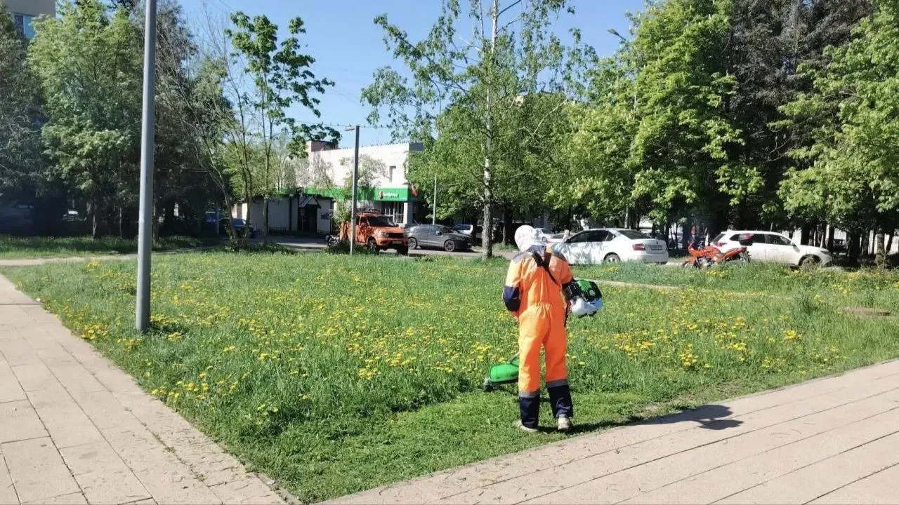 Более чем на 15 тыс. дворовых территориях Подмосковья провели покос газонов с начала июля