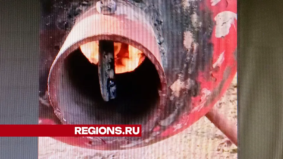 Фото: REGIONS/Василий Тремасов