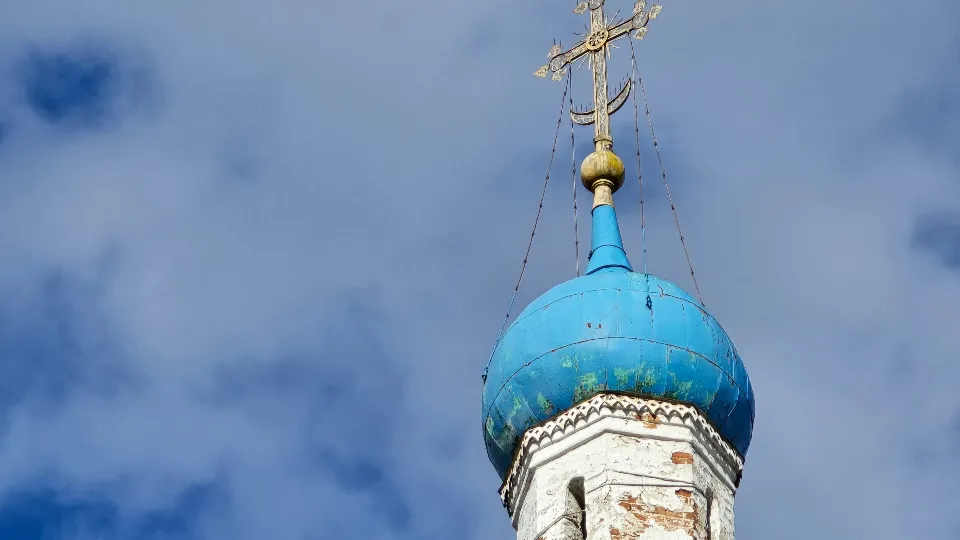 Фото: МедиаБанк Подмосковья /&nbsp;Марина Анисимова