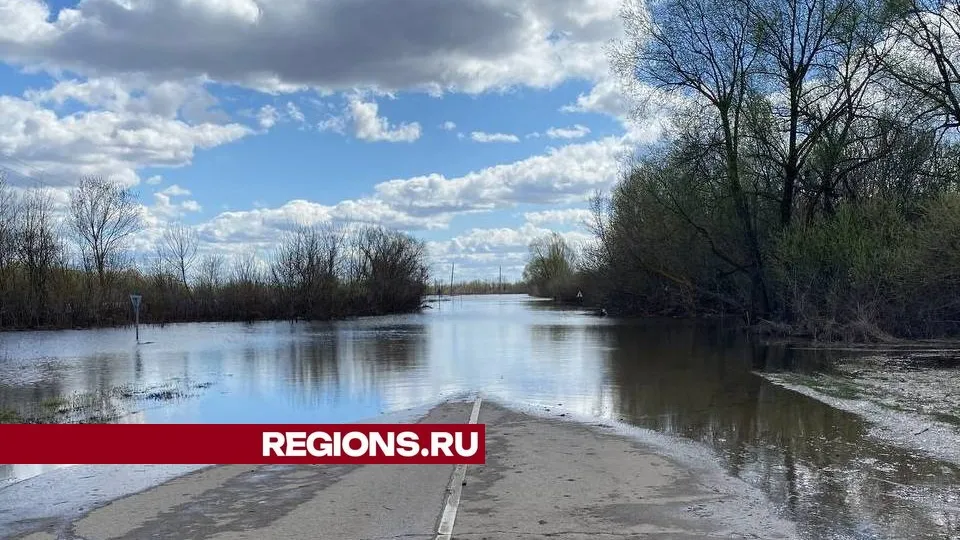 Фото: пресс-служба администрации городского округа Луховицы
