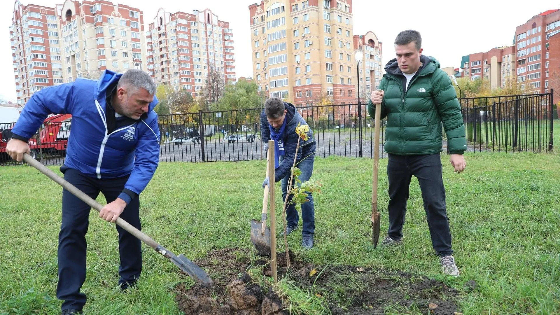 Картинка