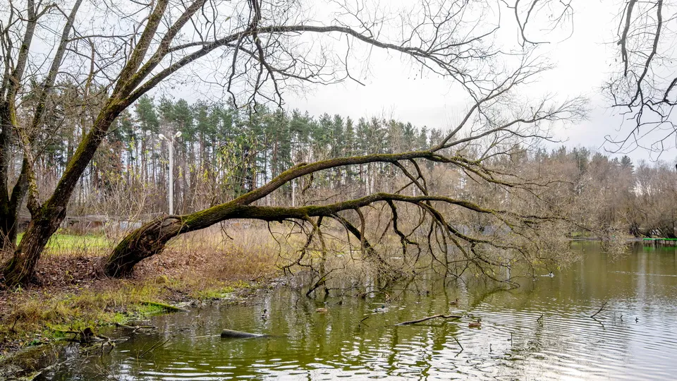 Фото: медиасток.рф
