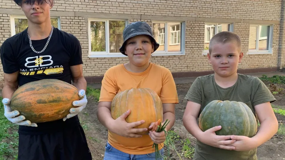 Фото: Министерство социального развития МО&nbsp;