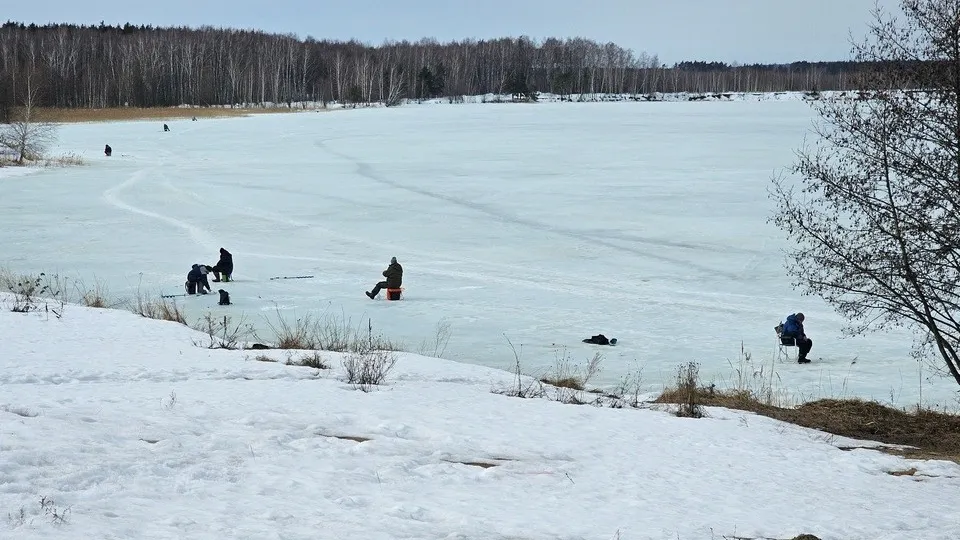 Фото: REGIONS/Александр Дрожжин