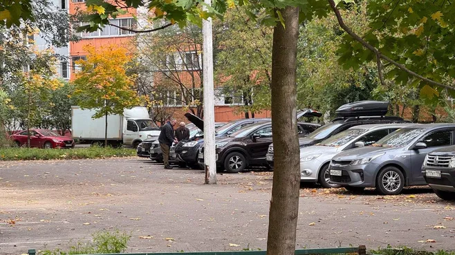 Картинка