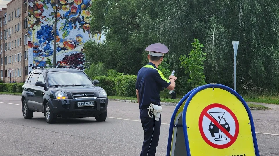 Фото: МедиаБанк Подмосковья/Анастасия Хренкова