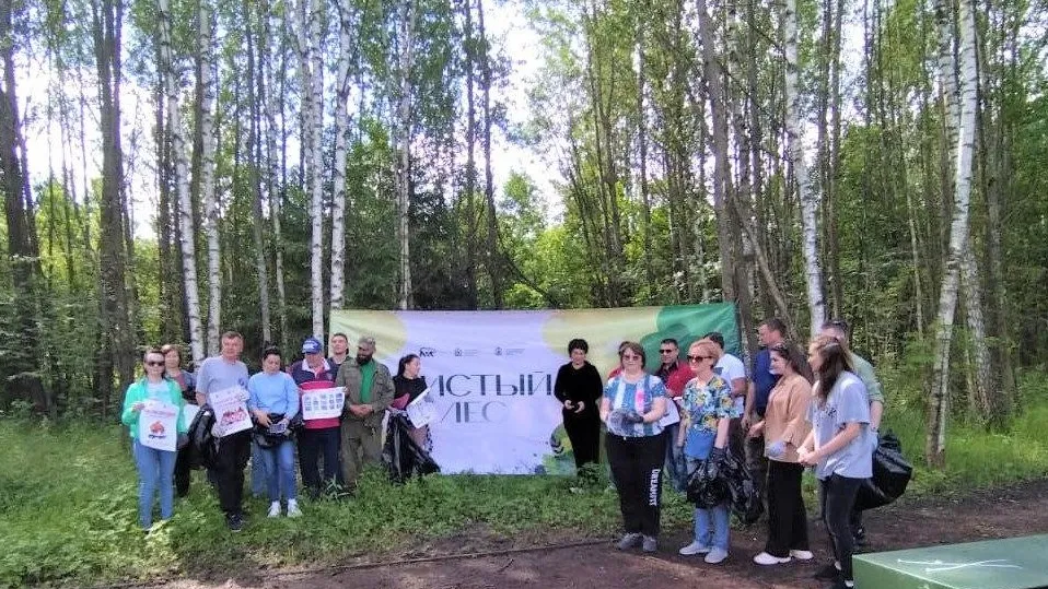 Фото: Комитет лесного хозяйства Московской области