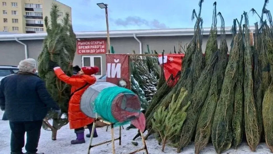 Фото: пресс-служба администрации м.о. Истра