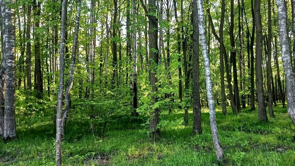 Фото: REGIONS/Олег Книжник
