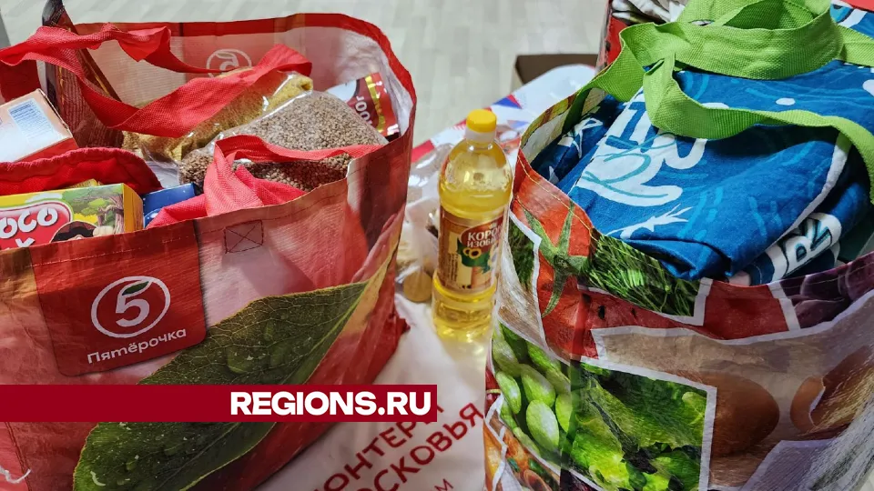Фото: REGIONS/Наталья Дорошева