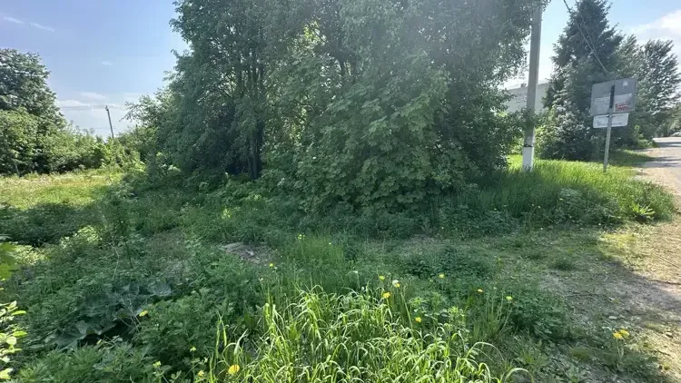 Участок на торгах