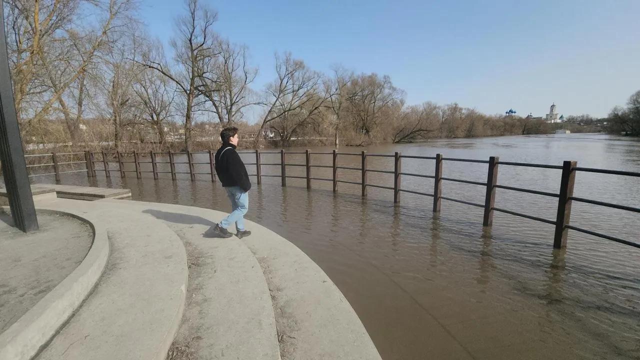 Картинка