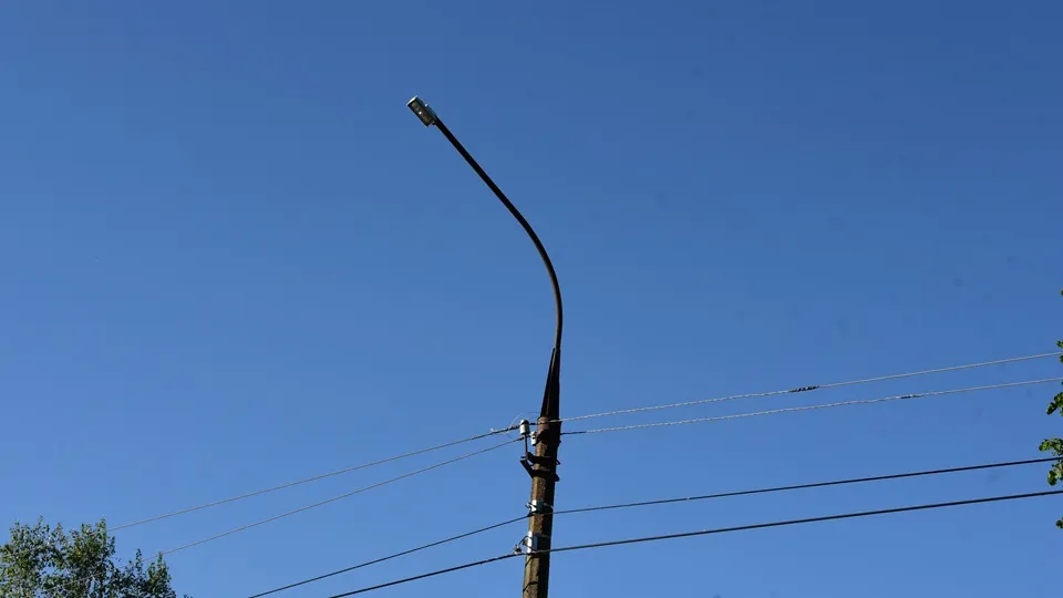 Фото: МедиаБанк Подмосковья/Владимир Останин