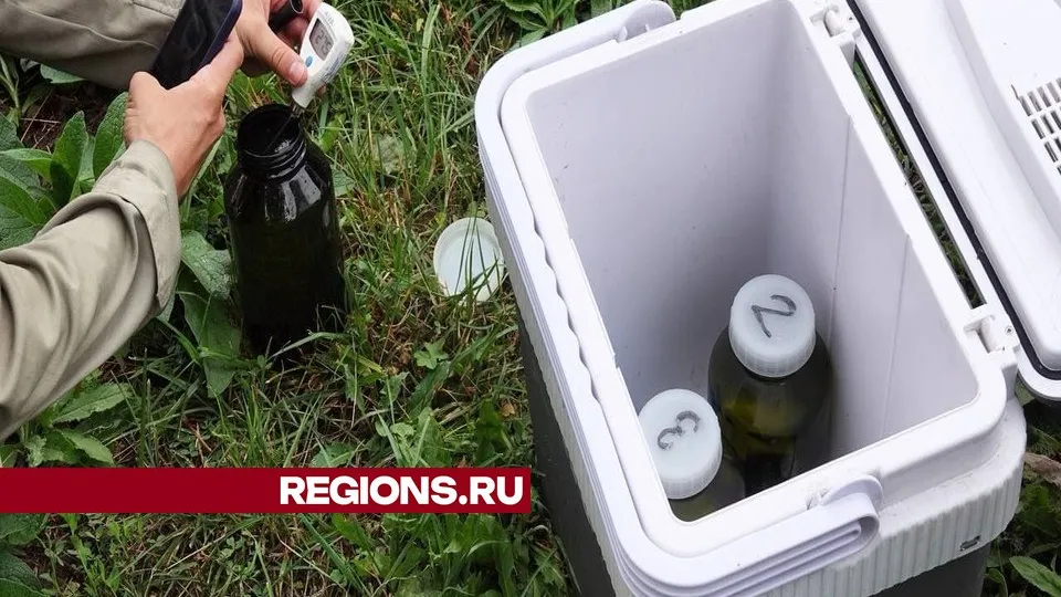 Фото: Дарья Леонова