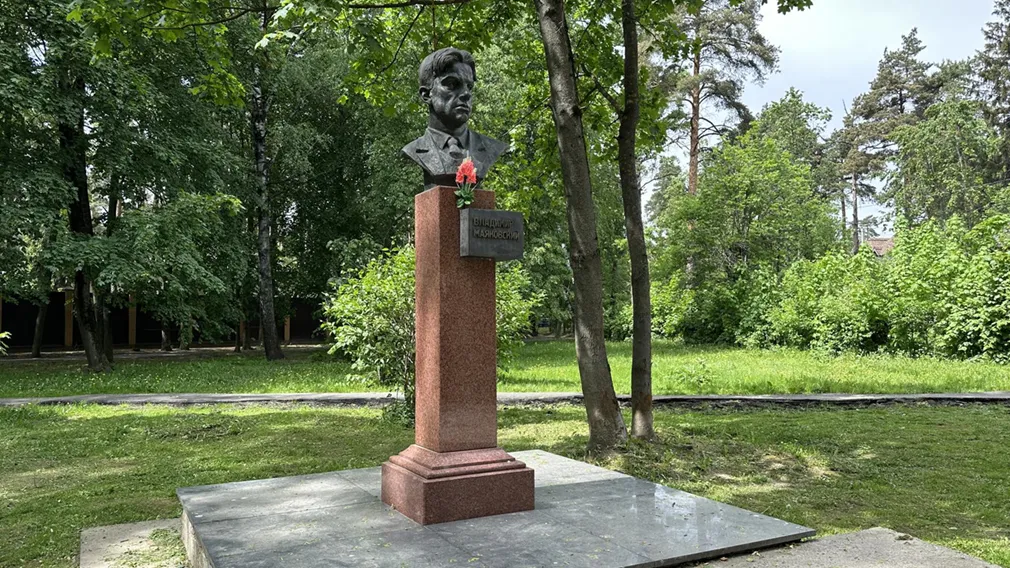 Картинка