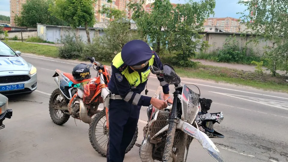 Фото: Госавтоинспекция УМВД России по г. о. Домодедово