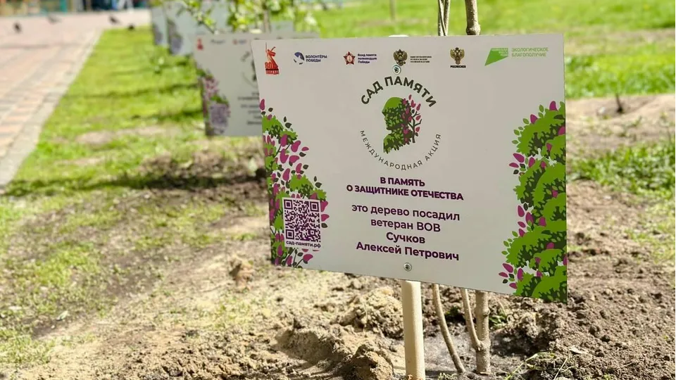 Фото: пресс-служба администрации г.о. Люберцы