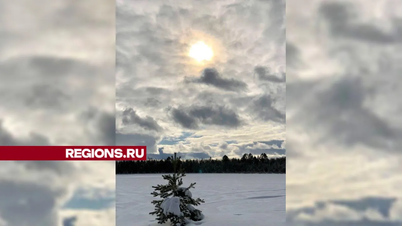 Фото: администрация Волоколамского городского округа