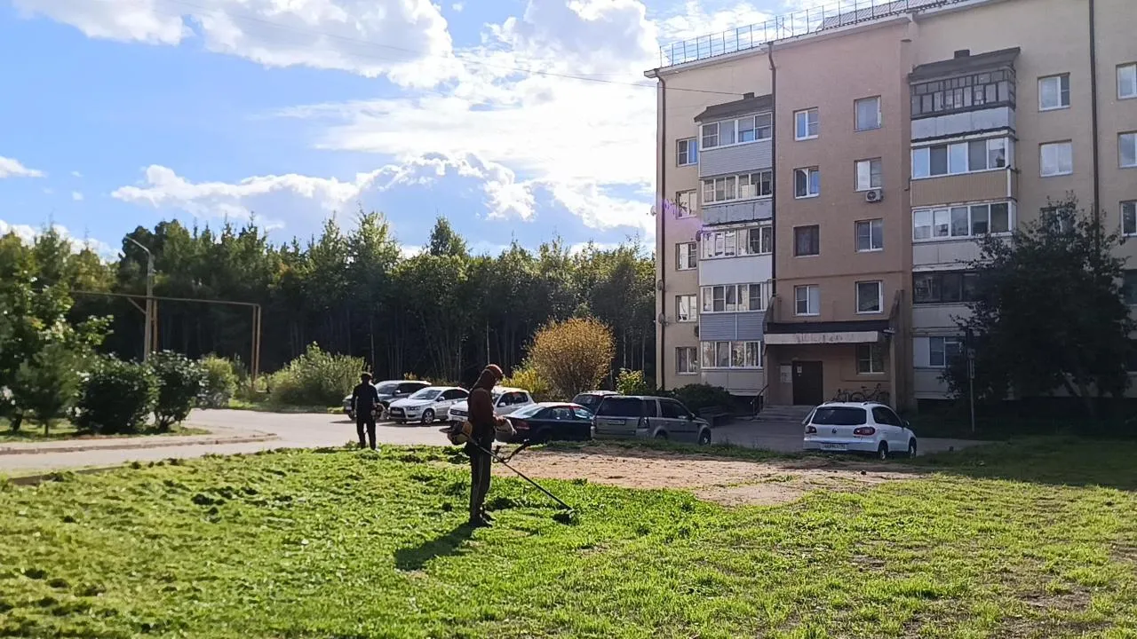 Картинка