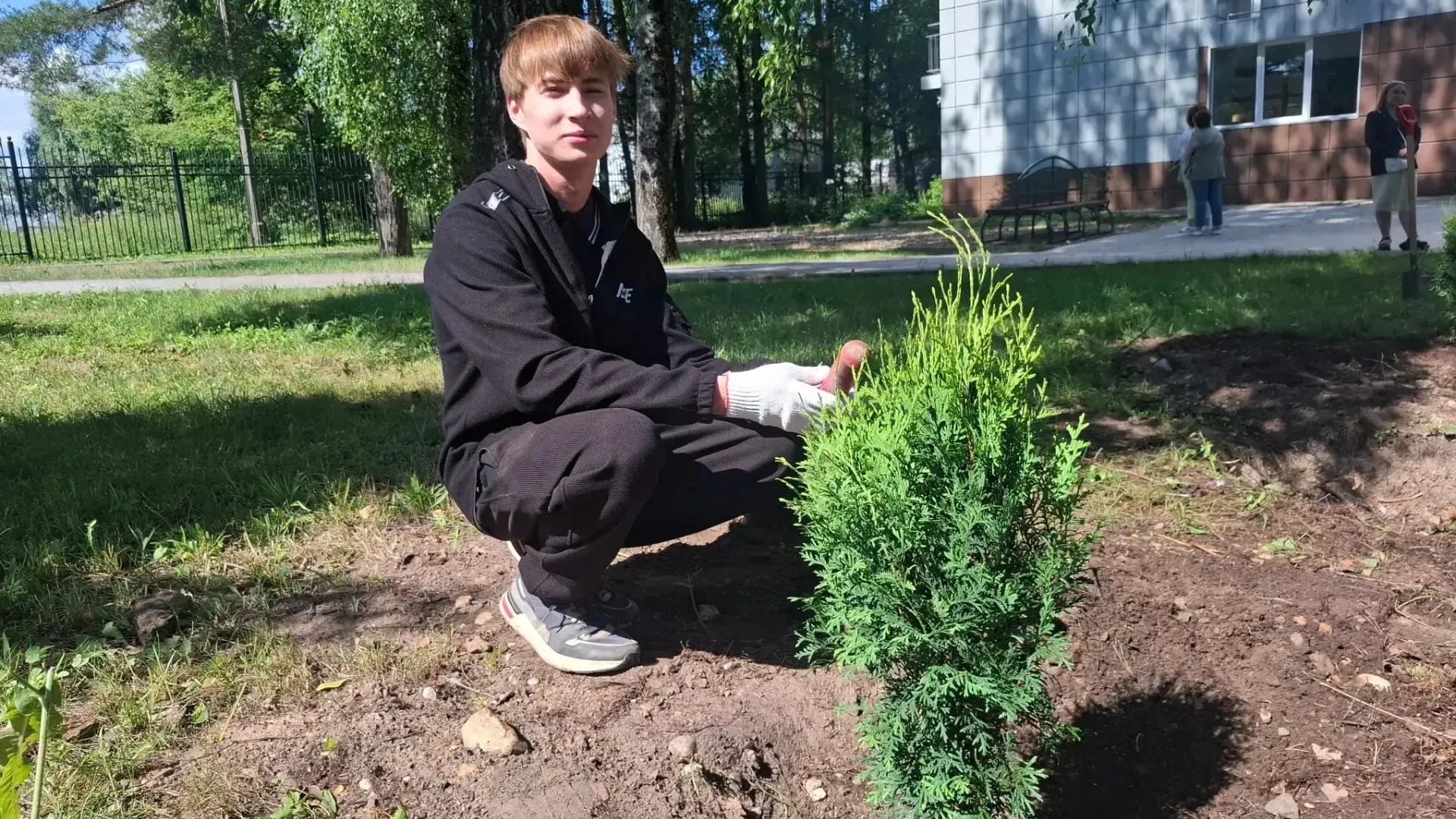 Картинка