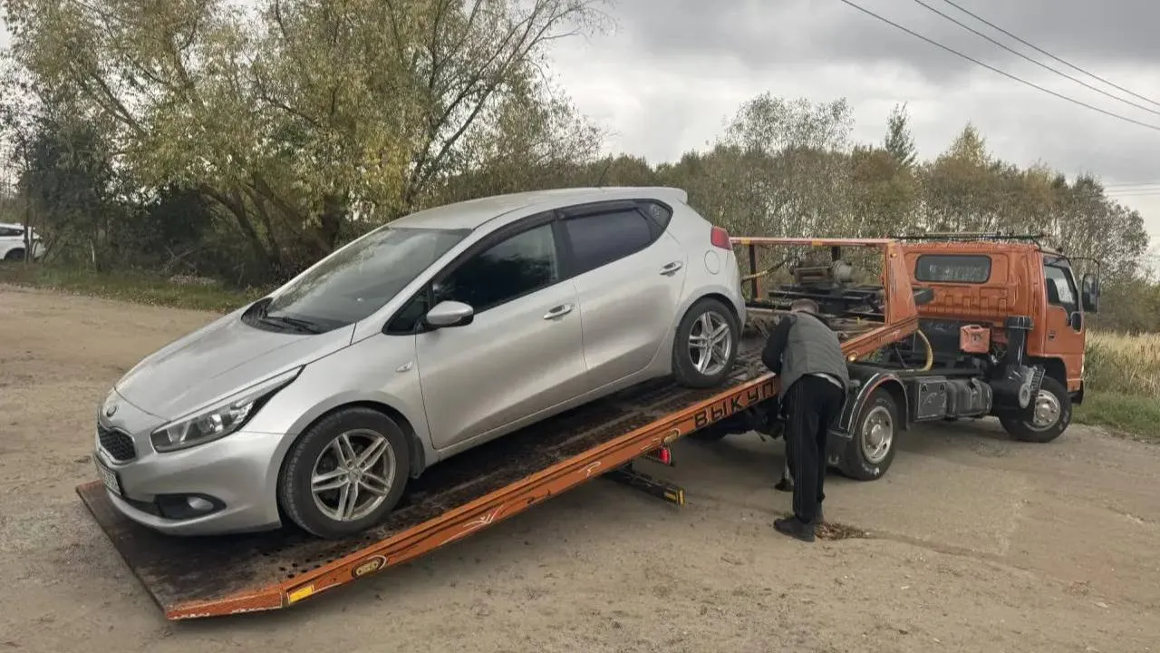 Картинка