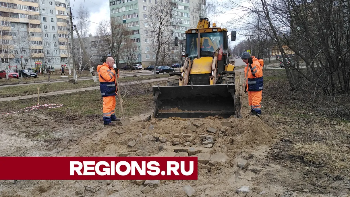 Фото: Василий Тремасов